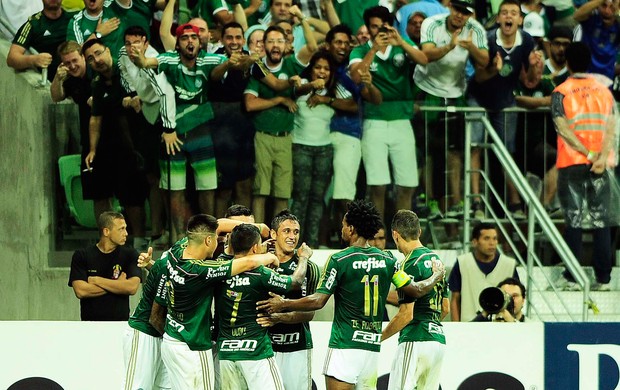 robinho palmeiras x capivariano (Foto: Marcos Ribolli)