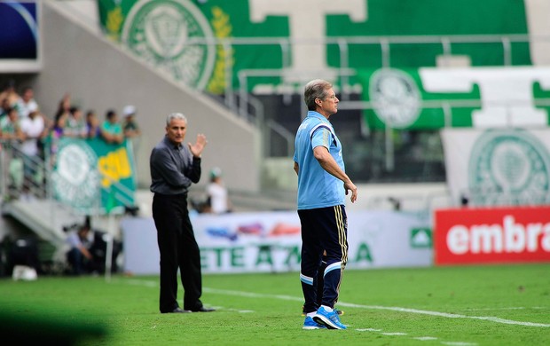 Osvaldo de oliveira Palmeiras x corinthians (Foto: Marcos Ribolli)