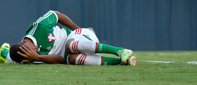 Botafogo-S X Palmeiras - Gabriel Jesus (Foto: Agencia Estado)