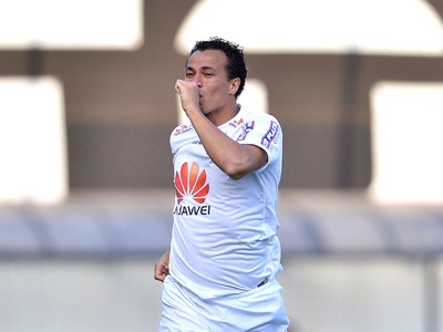 Leandro Damião comemora gol do Santos contra o Botafogo (Foto: Mauro Horita / Agência estado)