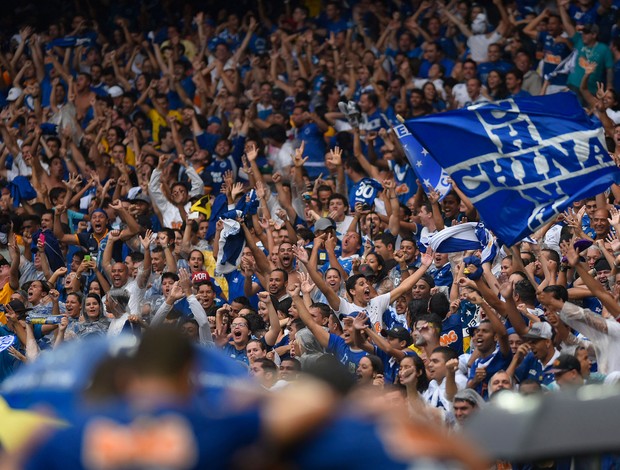 Torcida do Cruzeiro x Goiás, Mineirão (Foto: Douglas Magno)