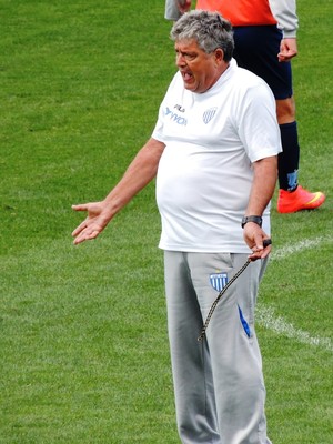 Geninho Avaí (Foto: Diego Madruga)