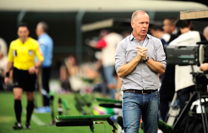 Mano menezes Palmeiras x Corinthians (Foto: Marcos Ribolli)