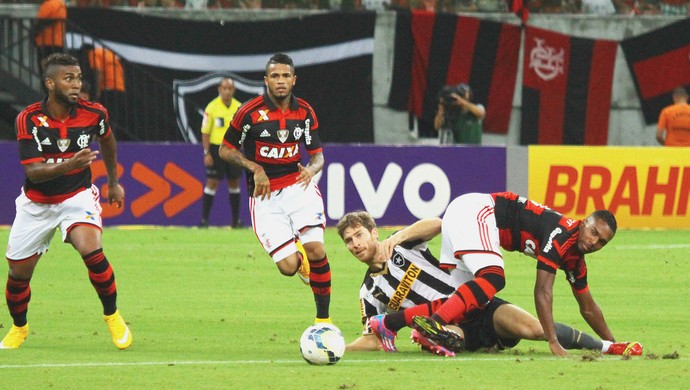 Botafogo x Flamengo (Foto: Edmar Barros / Ag. Estado)