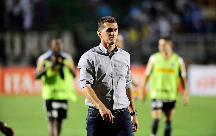 Vagner Mancini, Santos X Botafogo (Foto: Marcos Ribolli)