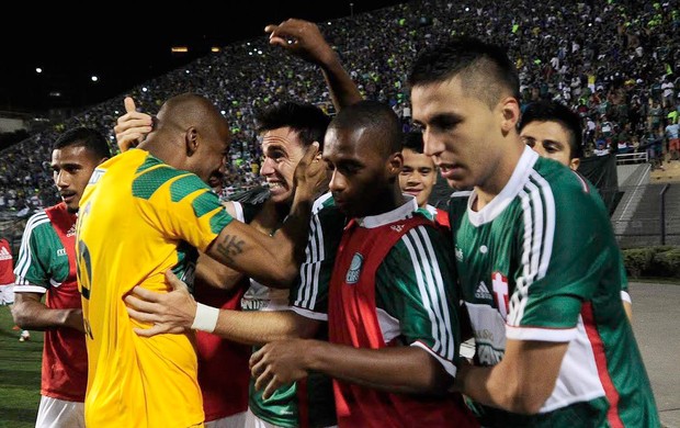 Mouche gol Palmeiras x Grêmio (Foto: Marcos Ribolli)