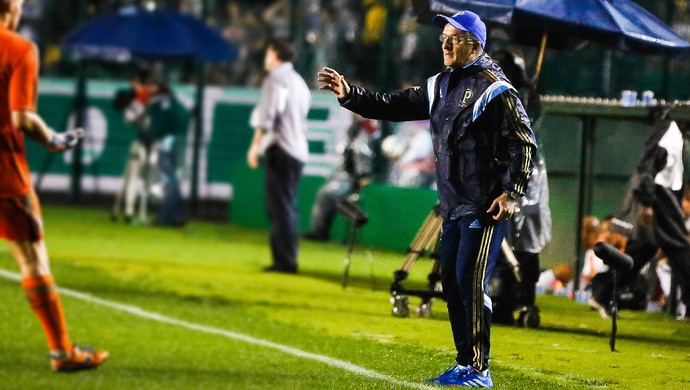 Figueirense x Palmeiras - dorival júnior (Foto: Agência Estado)