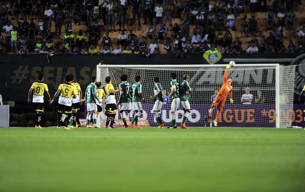 Fábio Palmeiras Criciúma (Foto: Marcos Ribolli/GloboEsporte.com)