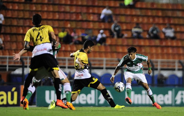 Leandro Palmeiras Criciúma (Foto: Marcos Ribolli/GloboEsporte.com)