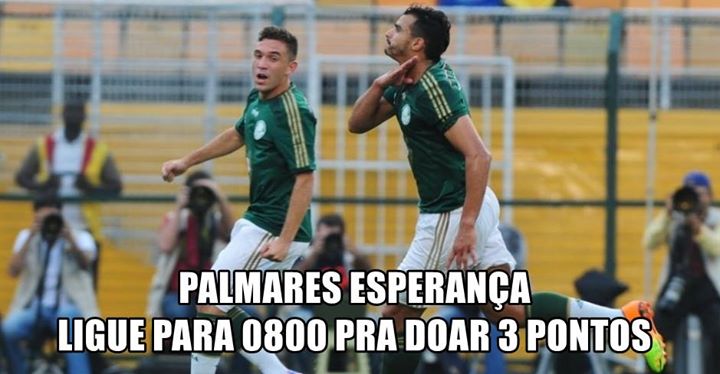 palmeiras