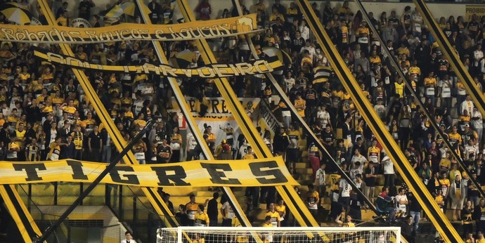 Torcida Criciúma x Fluminense (Foto: João Lucas Cardoso)