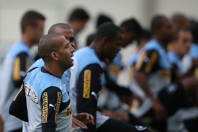 Emerson Sheik treino botafogo (Foto: Satiro Sodre/SSPress)