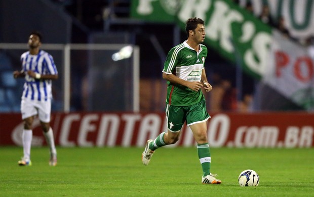 palmeiras x avaí - copa do brasil  (Foto: Cristiano Andujar / VIPCOMM)