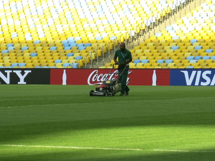 Gramado Maracanã após jogo Bélgica x Rússia (Foto: Cíntia Barlem)