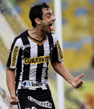 daniel Botafogo x Criciuma (Foto: Vitor Silva / SSPress)