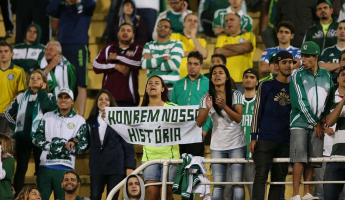 torcida PALMEIRAS X GOIÁS (Foto: Marcos Ribolli)