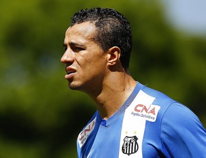 Leandro Damião Santos (Foto: Ricardo Saibun / Divulgação Santos FC)