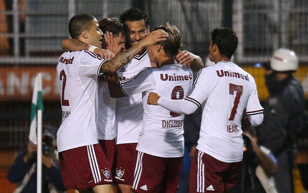 Fluminense comemora contra o Palmeiras (Foto: Photocamera)