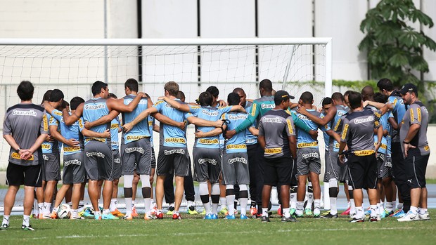 Treino Botafogo  (Foto: Satiro Sodré / Agência Estado )