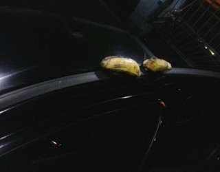 Árbitro fotografou bananas em seu carro e anexou imagens à súmula do jogo (Foto: Márcio Chagas da Silva/Arquivo Pessoal)