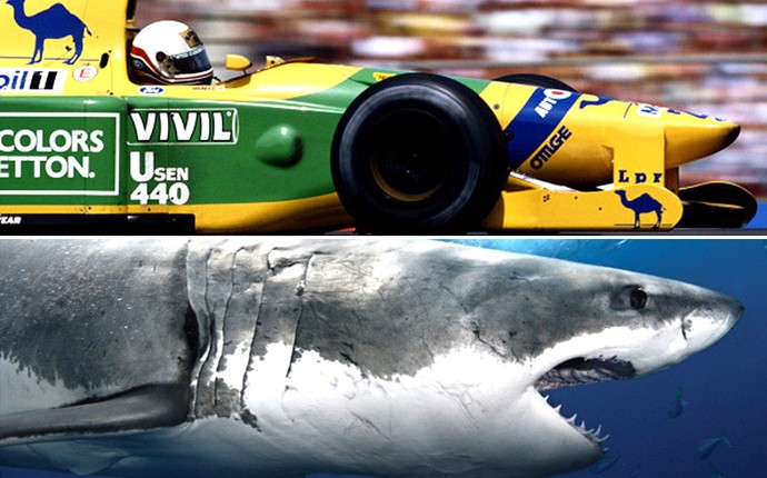 Carro 1992 - Benetton comparado com um tubarão (Foto: Editoria de Arte)