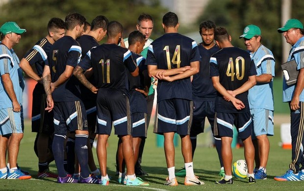 Palmeiras grupo (Foto: Cesar Greco/Ag Palmeiras/Divulgação)