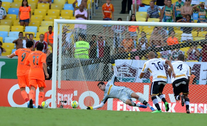 fred helton leite fluminense x botafogo (Foto: André Durão)