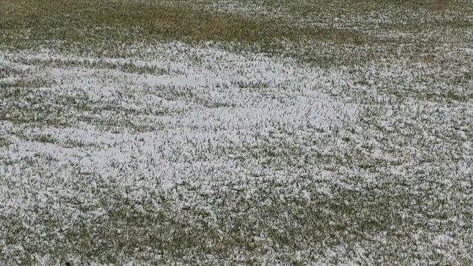 Gramado Gavea (Foto: Divulgação)