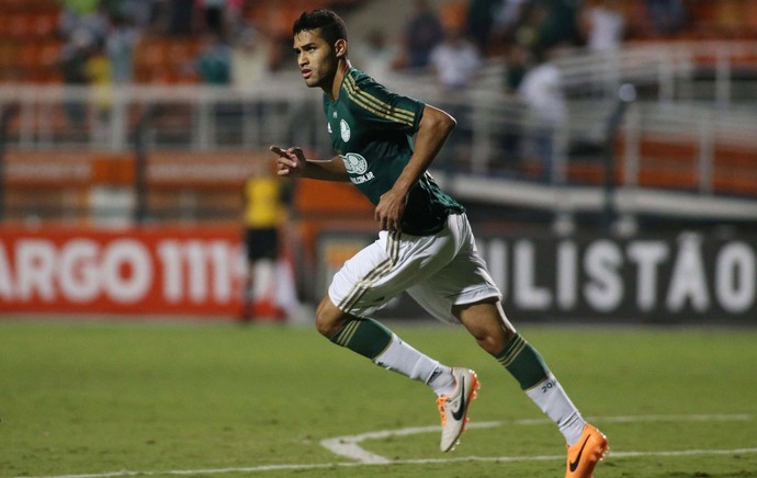 Alan Kardec, Palmeiras x Ituano (Foto: Marcos Bezerra/Agência Estado)