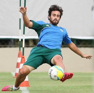 Valdivia Palmeiras (Foto: Cesar Greco/Ag Palmeiras/Divulgação)