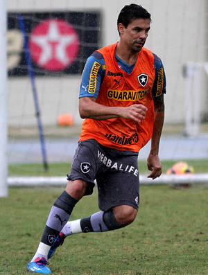 bolivar botafogo treino (Foto: Vítor Silva / SSPress)