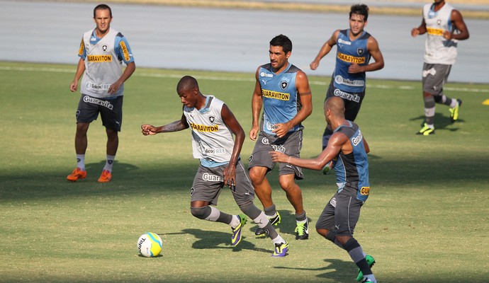 jogadores treino botafogo (Foto: Satiro Sodré / SS Press)