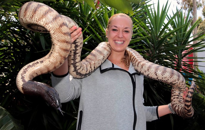 tênis sabine lisicki cobra parque melbourne (Foto: Agência Reuters)