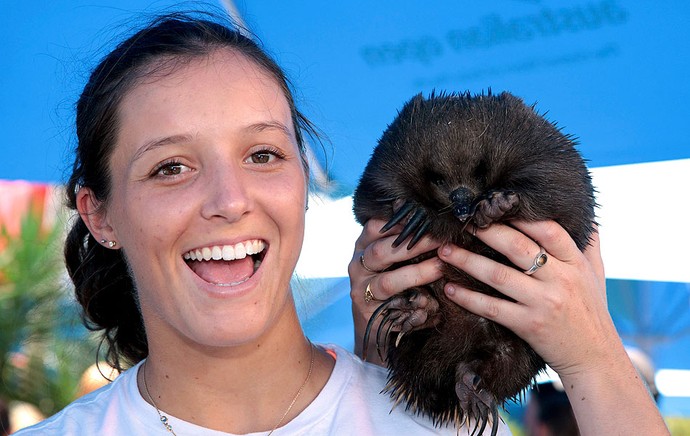 tênis laura robson echidna parque melbourne (Foto: Agência Reuters)