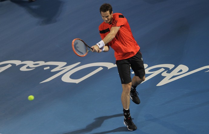 tênis andy murray jo-wilfried tsonga mubadala (Foto: AP)