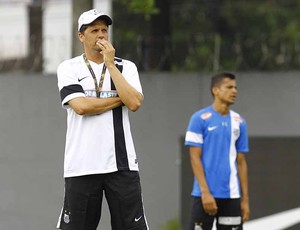 Claudinei Oliveira, Santos (Foto: Ricardo Saibun / Divulgação Santos FC)