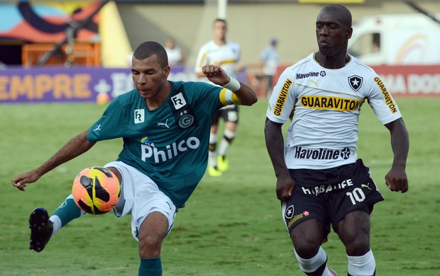 Amaral e Seedorf Goiás x Botafogo (Foto: André Costa / Agência Estado)