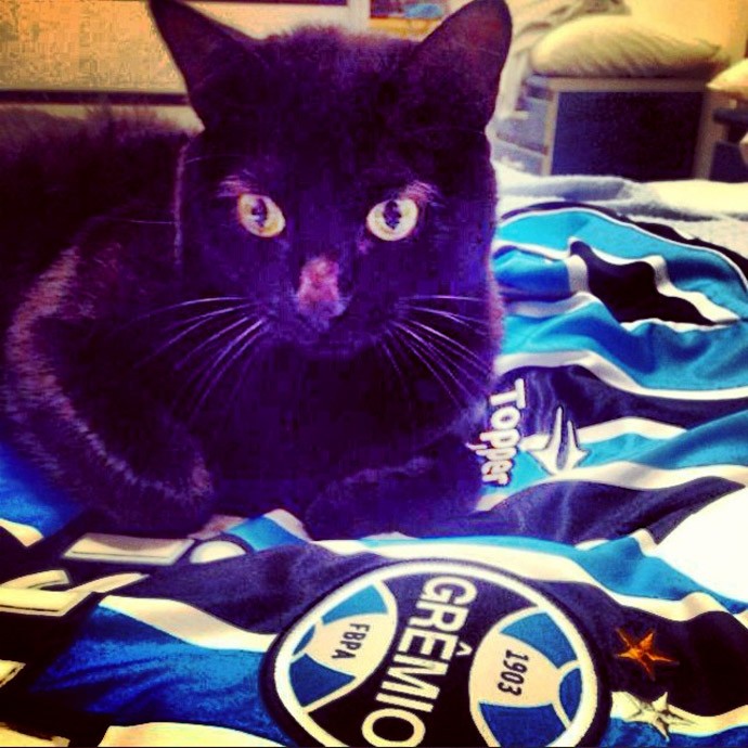 INSTAGRAM - Gato preto camisa do grêmio Carol Portaluppi (Foto: Reprodução / Instagram)