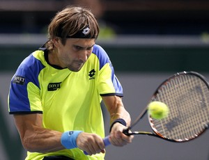 tênis david ferrer masters 1000 paris (Foto: EFE)