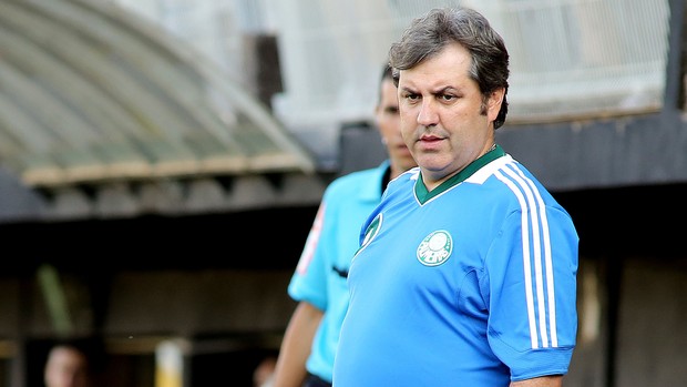 gilson kleina Bragantino x Palmeiras (Foto: Luis Moura/Agência Estado)