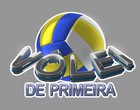 Logo Série Vôlei de Primeira (Foto: Arte Roberto Robles)