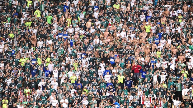 Torcida Palmeiras contra o Atlético-PR (Foto: Marcos Ribolli)