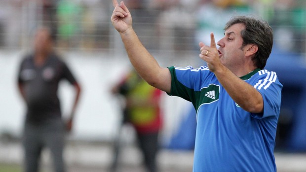 gilson kleina BOA ESPORTE X PALMEIRAS (Foto: Célio Messias/Agência Estado)