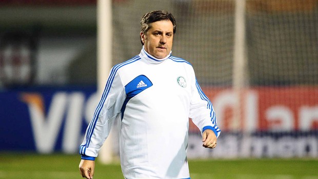 Gilson Kleina Palmeiras  (Foto: Marcos Ribolli)