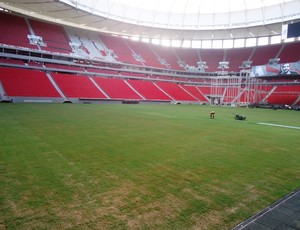 gramado Mané Garrincha (Foto: Fabrício Marques)