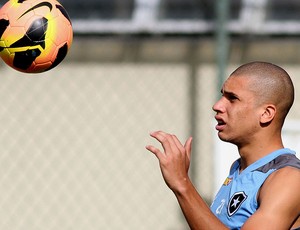 Doria botafogo treino (Foto: Satiro Sodré / SSPress)