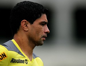 renato botafogo treino (Foto: Satiro Sodré / SSPress)