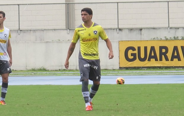 renato botafogo (Foto: Thales Soares)