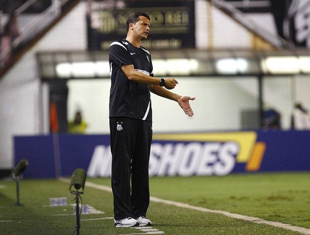 Claudinei Oliveira, técnico do Santos (Foto: Divulgação/Santos)