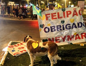 cachorra treino Seleção Brasiliera Goiás protesto (Foto: Alexandre Lozetti)